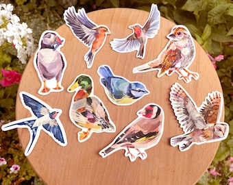 Collaged birds sticker set, 9 vinyl bird stickers