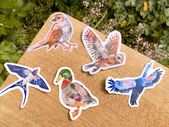 Bird Stickers Set Set of 5 Vinyl Collaged Bird Stickers Etsy