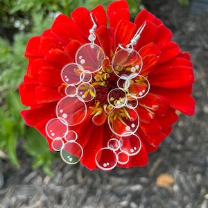 May include: A pair of silver earrings with a cascading design of clear plastic circles. The earrings are hanging from a red flower.