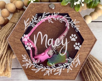 Gepersonaliseerd aandenkendoosje voor huisdierhalsband, aandenkenketting voor huisdier, gegraveerd aandenkenpenning voor huisdier, rouwgeschenk voor huisdier, beste vriend van de mens