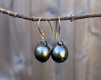 Tahitian Earrings, Tahitian Pearl, Black Pearl Earrings, Gold Fill, Valentines Day Gift, Gift for Women, Pearl Drop Earrings, Gifts for Her