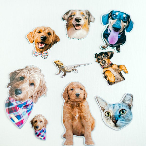 Dog Etsy