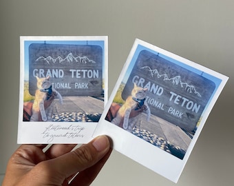 May include: Two Polaroid photos of a cat holding a sign that says "Grand Teton National Park". The cat is white and orange and is wearing a blue collar. The photos are in a hand.