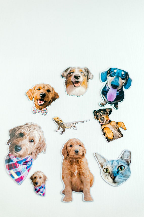 Custom Pet Magnets | Cute Animal Magnets | Decorative Magnets | Dog Cat Lover Gifts | Fridge Magnet | Holiday Christmas Gift for Pet Lovers