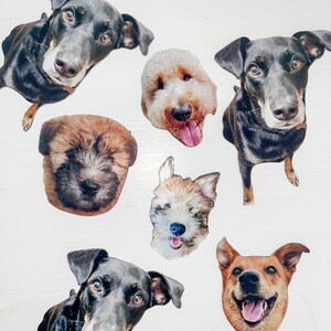 Magnets of dogs with no white outline for a border.