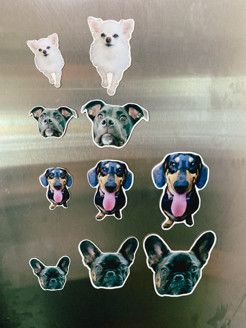 May include: A collection of dog breed magnets on a silver refrigerator. The magnets feature different dog breeds, including a chihuahua, a pit bull, a dachshund, and a french bulldog.