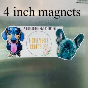 May include: Two 4 inch magnets featuring a dachshund and a French bulldog. The magnets are on a stainless steel refrigerator. The magnets are from Honey Bee Crafts USA.