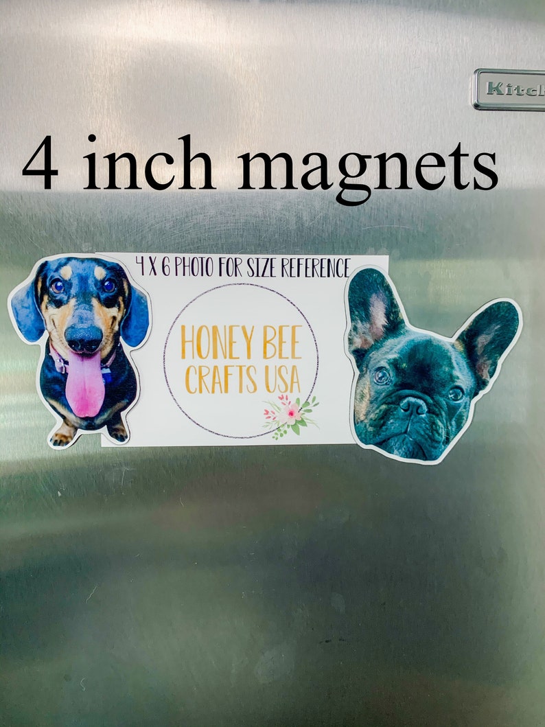 May include: Two 4 inch magnets featuring a dachshund and a French bulldog. The magnets are on a stainless steel refrigerator. The magnets are from Honey Bee Crafts USA.