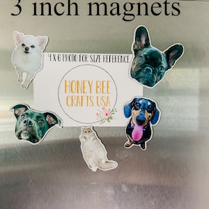 May include: Five 3 inch magnets featuring different animal photos. The magnets are on a stainless steel refrigerator. The text "4 x 6 photo for size reference" and "Honey Bee Crafts USA" are visible on a white card.