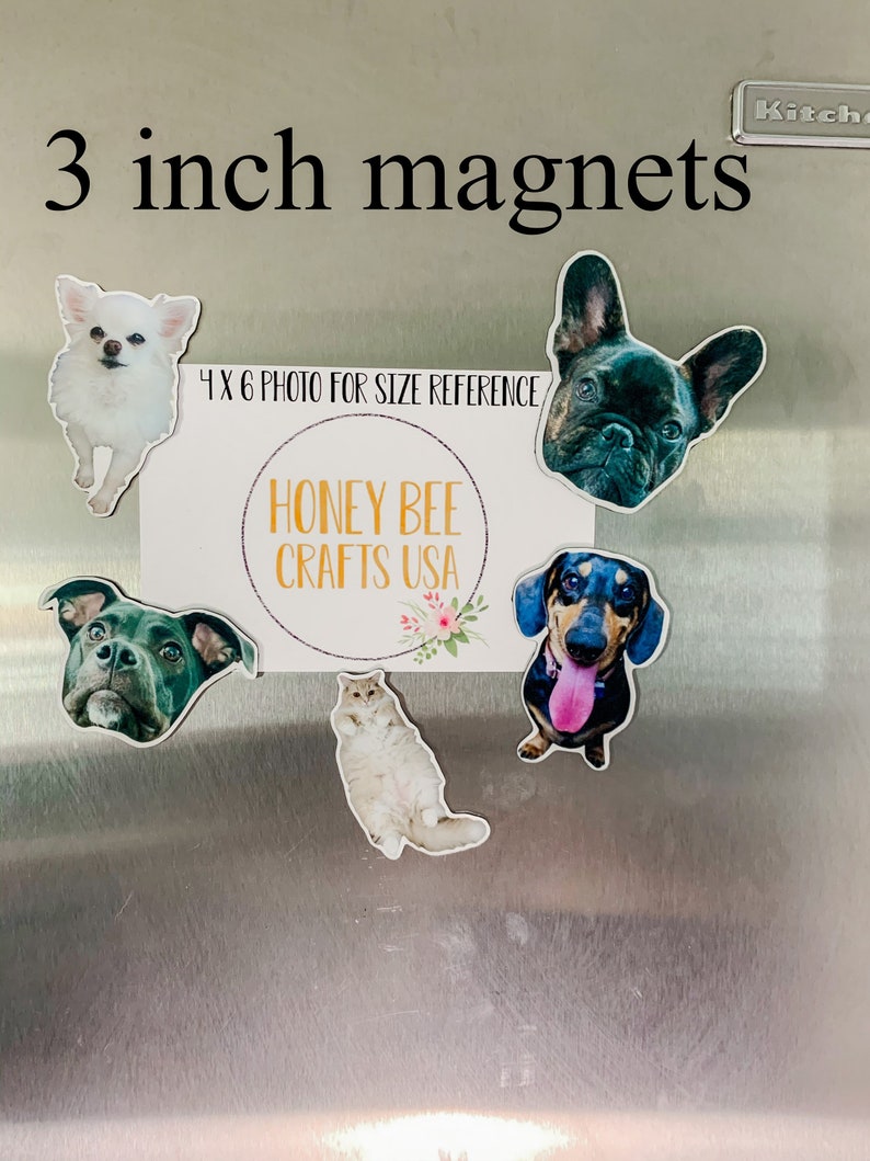 Custom Pet Cute Animal Decorative Etsy