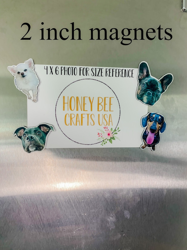 May include: Four 2 inch magnets featuring dog portraits. The magnets are on a stainless steel refrigerator. The magnets are next to a 4x6 photo for size reference. The photo has the text "Honey Bee Crafts USA" on it.
