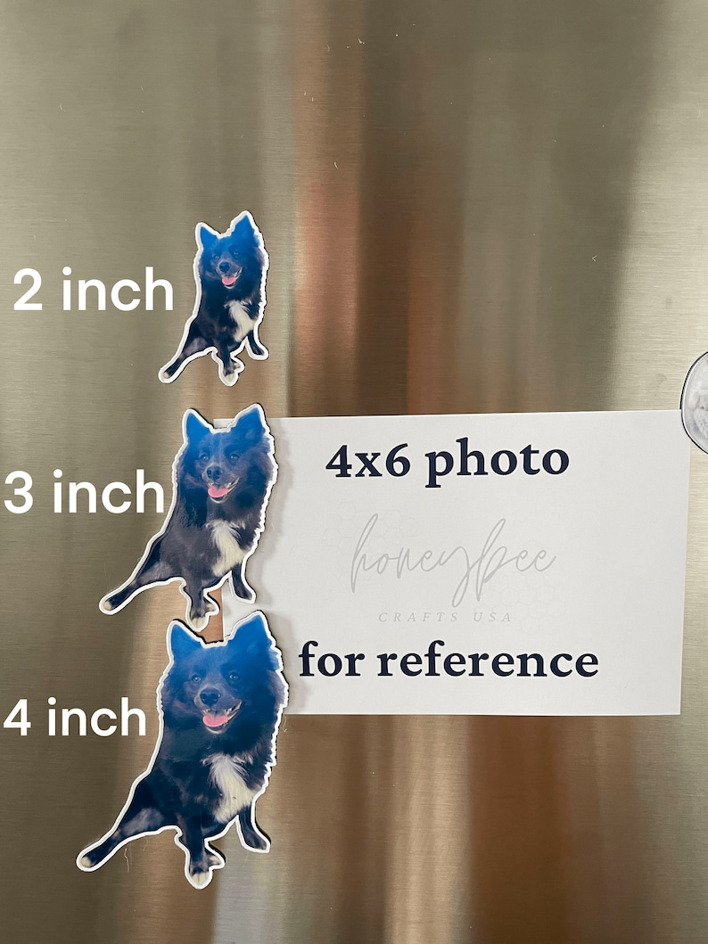 May include: Three black and white dog photo magnets of varying sizes, 2 inches, 3 inches, and 4 inches. The magnets are on a stainless steel refrigerator surface. A 4x6 photo with the text "honeybee crafts USA for reference" is on the refrigerator.