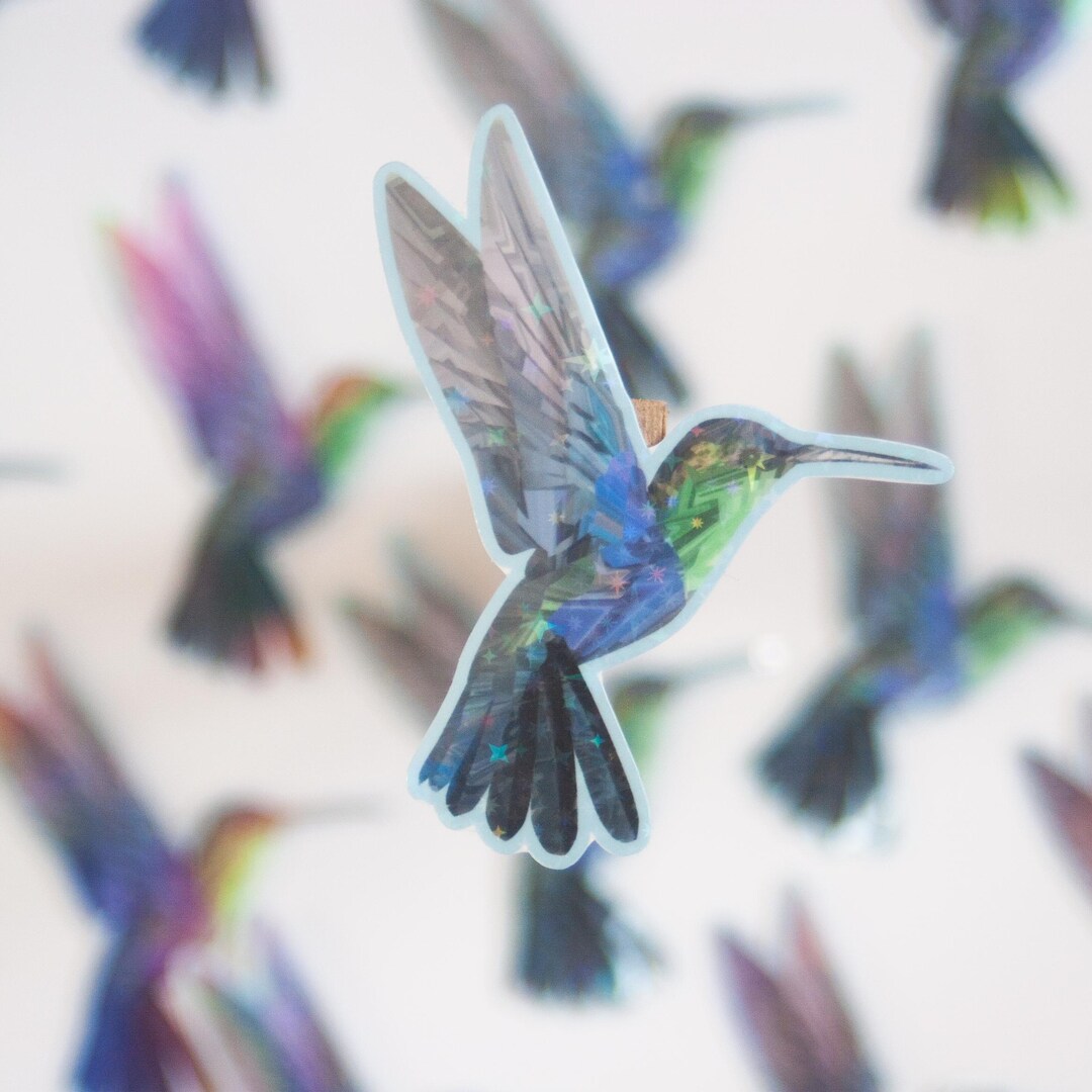 Hummingbird Sticker Decal - Etsy
