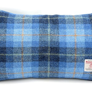 May include: Rectangular blue plaid pillow. The pillow features a pattern of light and dark blue squares with thin orange and light green lines. A white tag with red text is sewn on the bottom right corner. The pillow is made of a woven fabric.