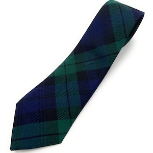 May include: A green, blue and black plaid tie.