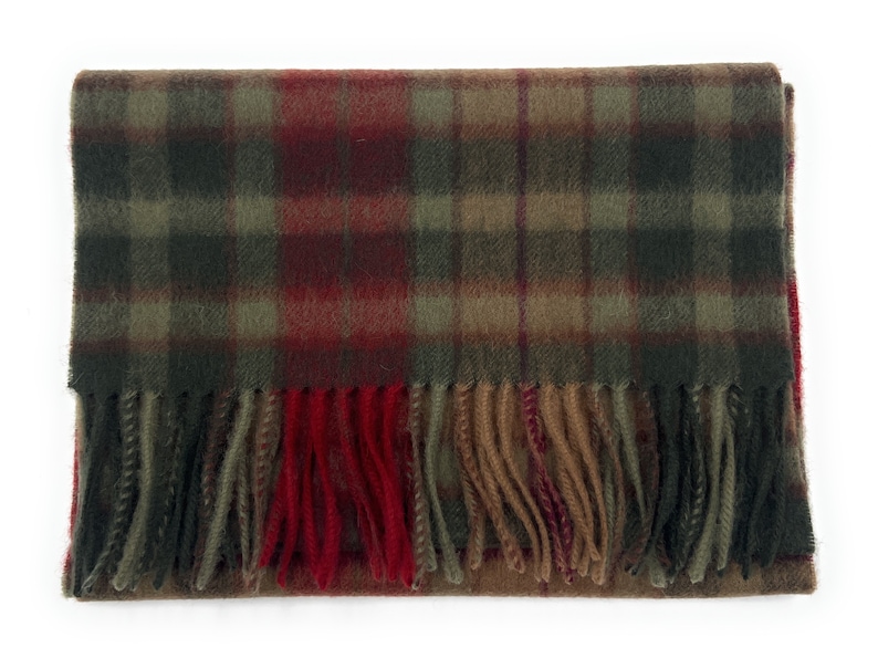 May include: A green, red, and brown plaid scarf with fringed edges.