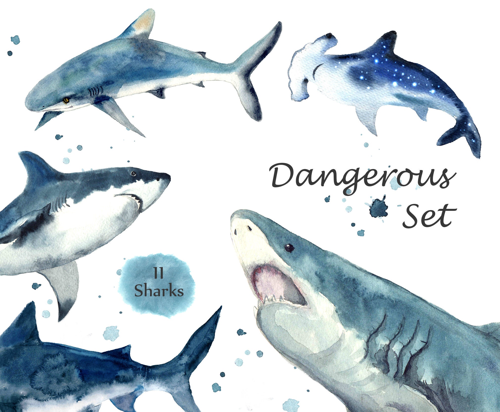 Watercolor Clipart Baby Shark Clipart Shark Watercolor Etsy
