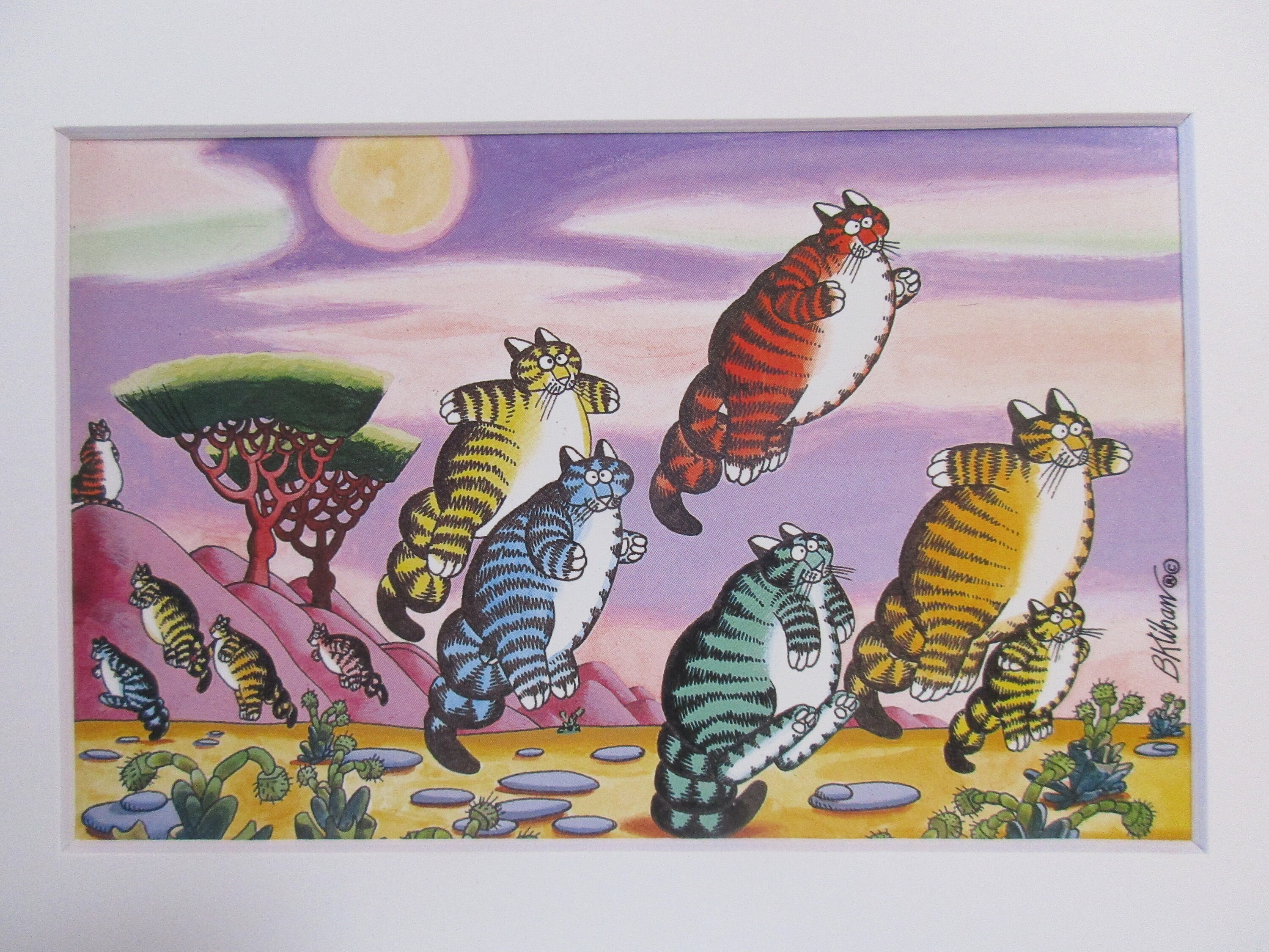 Kliban's Cats クリバン キャット ポストカード クリバンキャット ポストカード - メルカリ