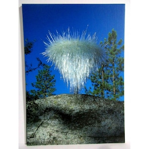 Dale Chihuly Glass Artist Art Card - Żyrandol Icicle Creek 1996 - 5" szer. X 7" głęb.