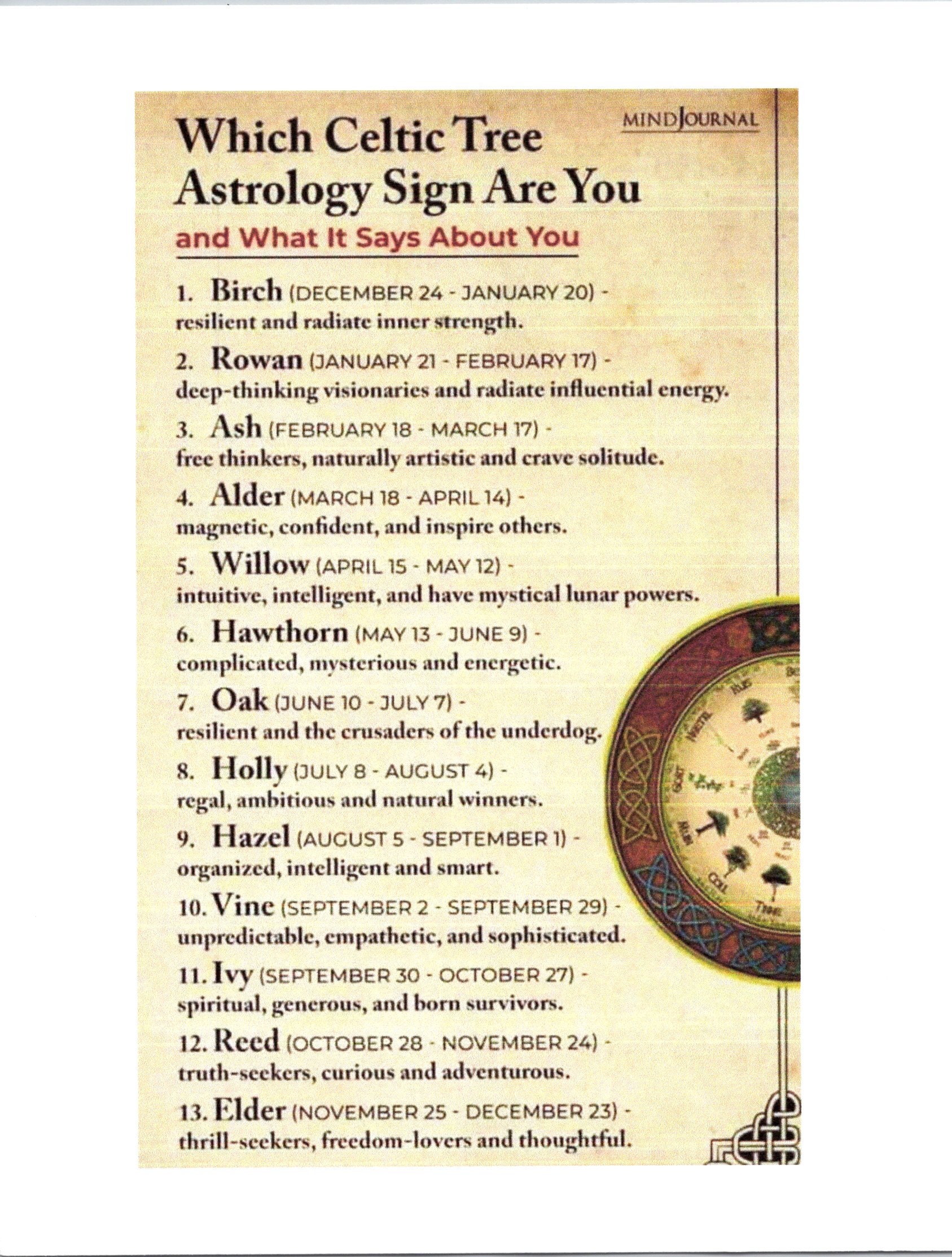 Celtic Tree Astrology Sign Digital Fun Sheet Etsy