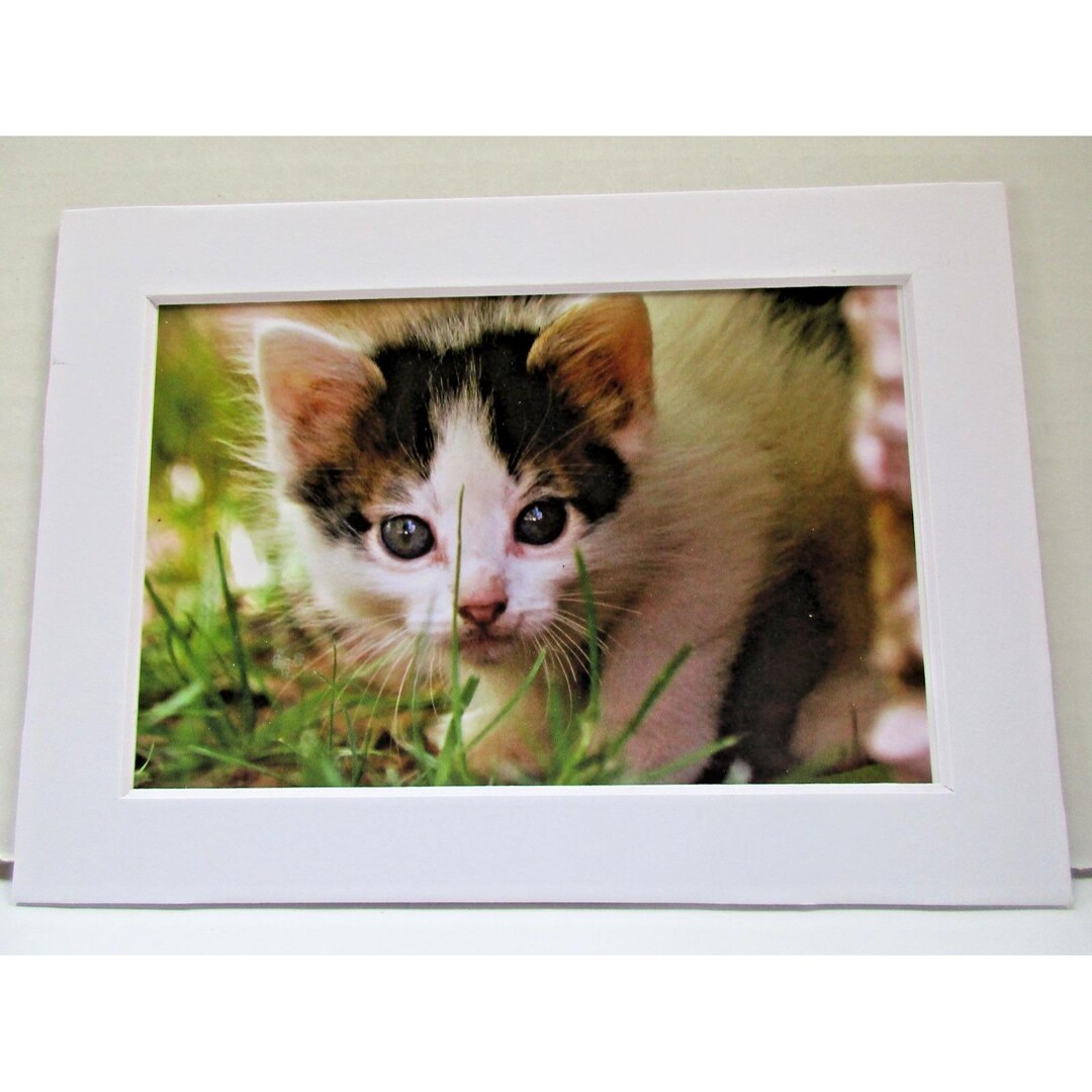 額縁変更ご確認ページ センチメンタル猫 白額縁（ビンテージ風） 額縁