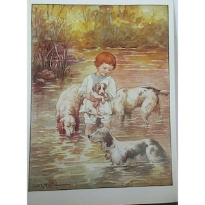 Cartão postal ilustrador de livros - Livro de histórias de animais 1928 por Clara M. Burd