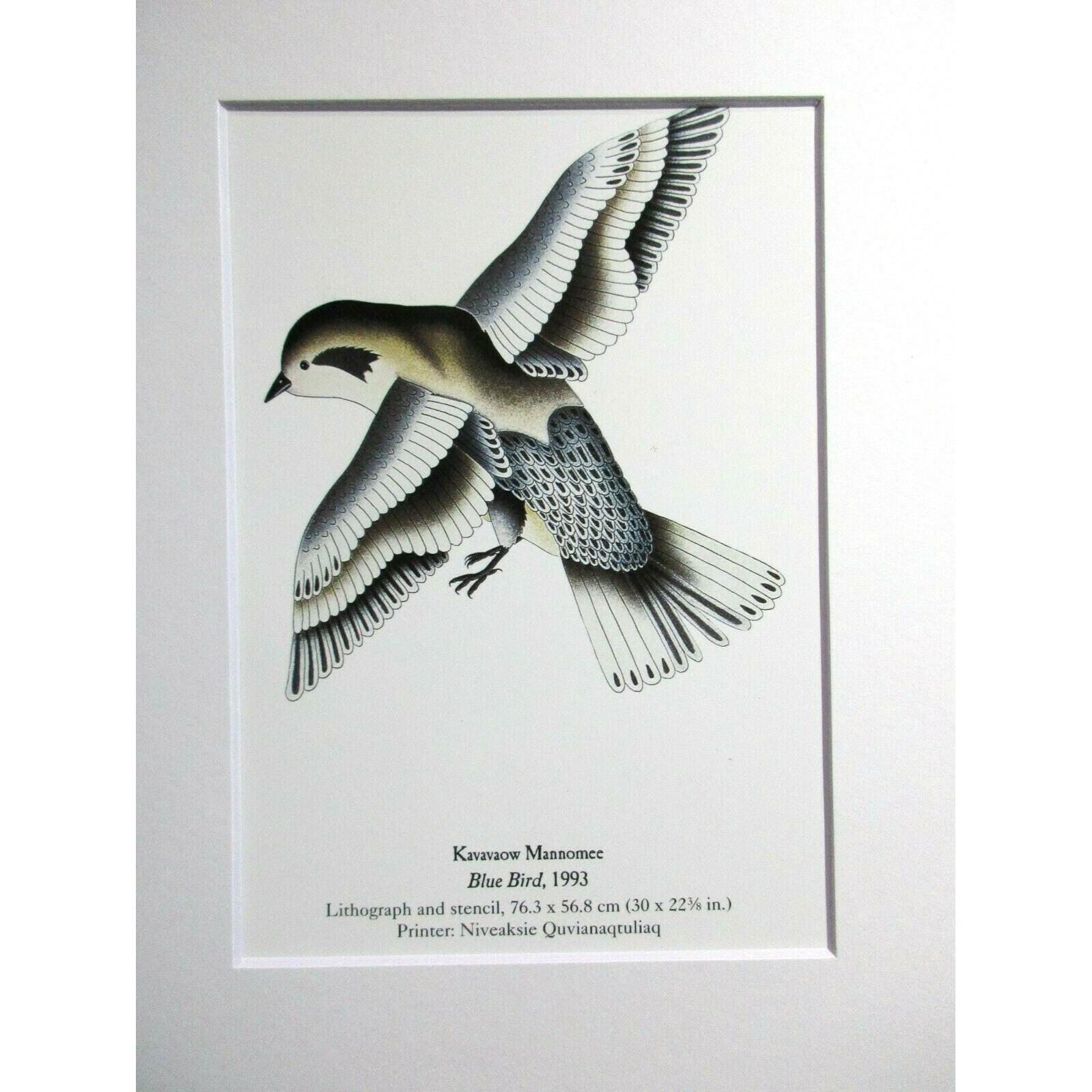 Inuit Art Print - BLUE BIRD 1993 by Kavavaow Mannomee White Mat 8 X 10 ...