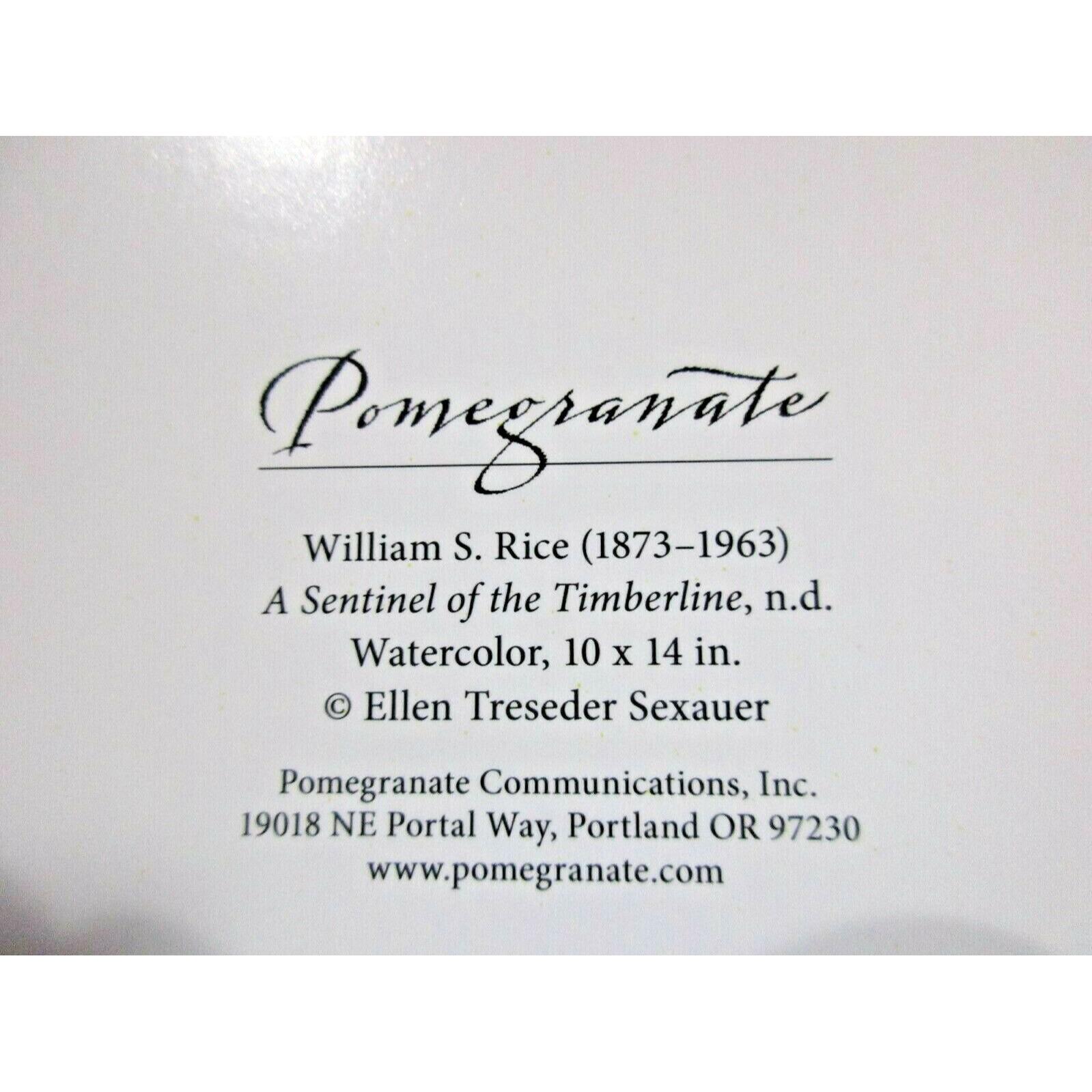 William S Rice Artist Notecard and Envelope - A Sentinel of the ...