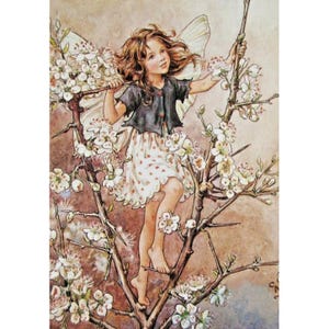 Cartão postal de arte de Cicely Mary Barker - A fada do espinheiro-negro - Fadas das flores