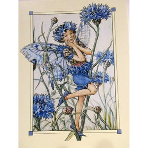Cartão postal de arte de Cicely Mary Barker A fada da centáurea de Flower Fairies