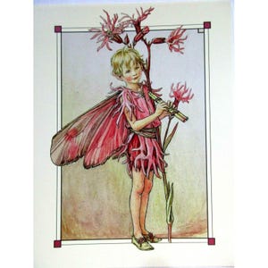 Cicely Mary Barker Kunst Postkarte Rotkehlchen Fee nach dem Blumenfeenalphabet