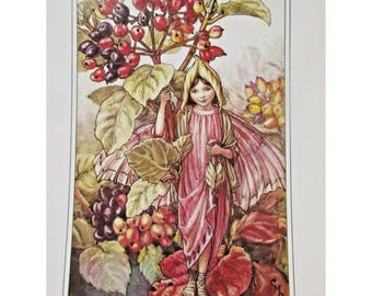 Può includere: Una fata con ali rosa e un vestito rosa si trova davanti a un cespuglio con bacche rosse e nere. La fata tiene un ramo con foglie. Lo sfondo è un'immagine sfocata di una foresta.
