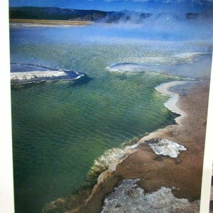 Carte postale - Ansel Adams 1946 Pool Detail Parc national de Yellowstone, Wyoming