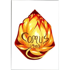 May include: A stylized illustration of a yellow and orange lotus flower with pointed petals. The word COMUS is written in dark brown lettering across the center of the flower, with the year 1903 printed in smaller dark brown digits below it.