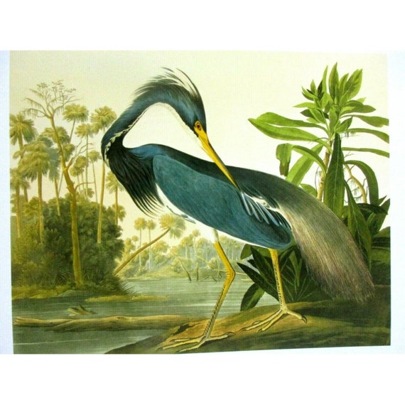Heron Crest Raspberry Placemat Heron Crest Raspberry Placemat