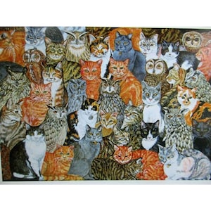 De uilen en de Pussycats door Ditz 1990 Notecard met envelop