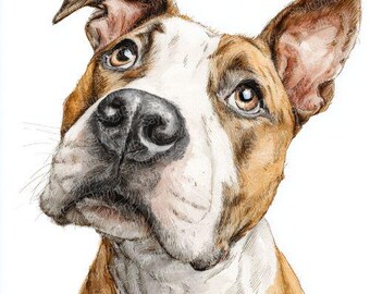 Imágenes prediseñadas de American Staffordshire Terrier: Imágenes PNG de perros en acuarela (descarga digital)