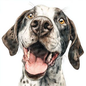 Englisch Pointer Clip Art: Aquarell Hundebilder (PNG Download-Dateien)