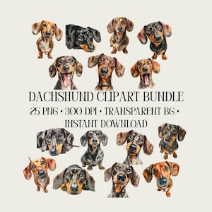Pode incluir: Uma coleção de imagens clipart de dachshund em aquarela em várias poses e cores. O texto "DACHSHUND CLIPART BUNDLE" é exibido, juntamente com detalhes sobre o formato do arquivo: 25 PNG, 300 DPI, fundo transparente e download instantâneo.