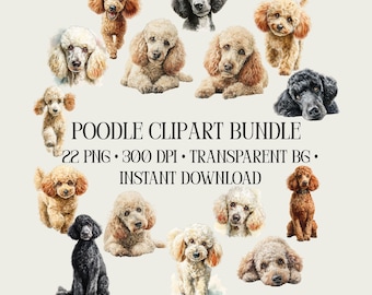 Poodle Clipart Bundle: 22 Funny Watercolour PNG Images + Bonus MP4 Video