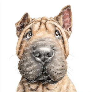 Shar Pei Clipart: Watercolour Dog PNG Images (Digital Download)