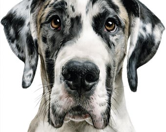 Majestätischer Dänischer Doggen-Porträtdruck – Sanfte Riesenhundekunst – Apollo der Hunde Clipart-Dekoration