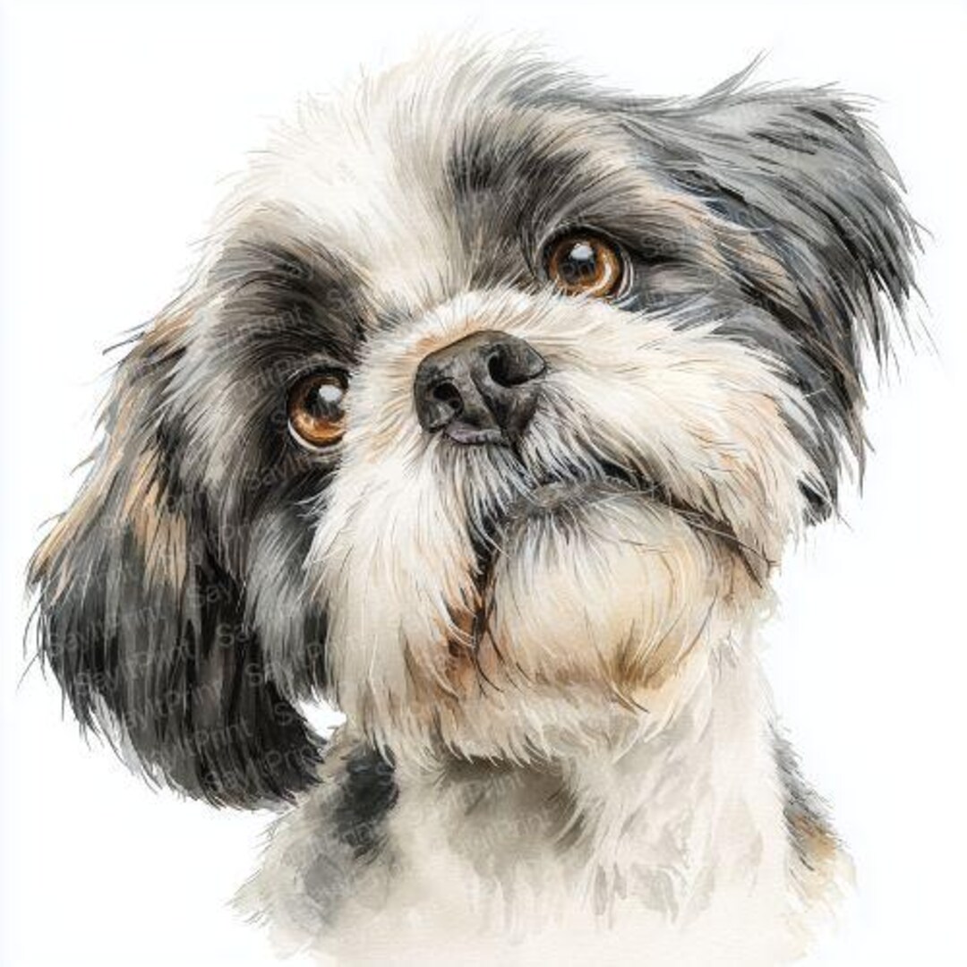 Watercolor Shih Tzu Clipart: Funny Dog PNG Images (digital Download) - Etsy