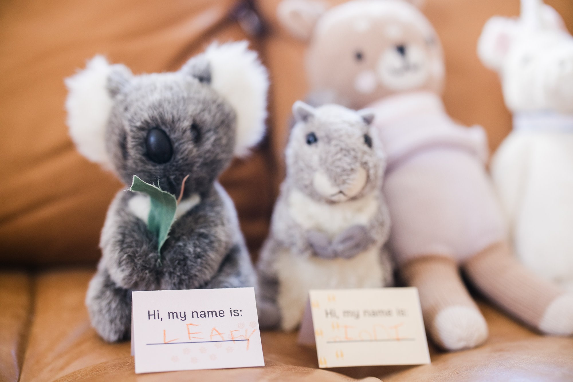 PRINTABLE Dramatic Play Pet Shop | Printable Play for 3 - 8 Years ...