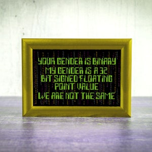 May include: A framed artwork with a gold-colored frame. The artwork features green text on a black background that reads: "YOUR GENDER IS BINARY, MY GENDER IS A 32 BIT SIGNED FLOATING POINT VALUE, WE ARE NOT THE SAME."