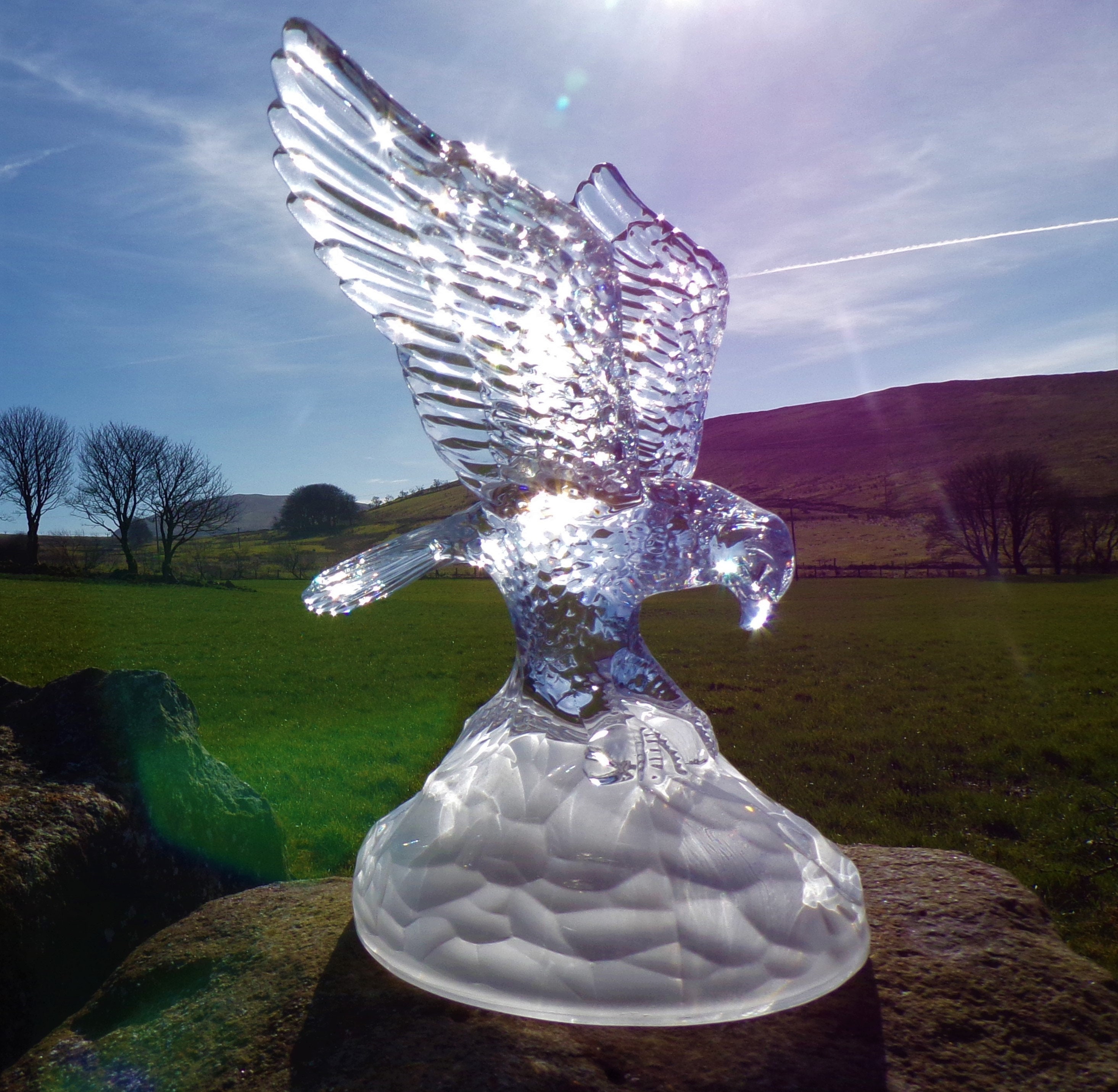 Vintage 1990s Crystal Bird Of Prey Cristal D'Arques France Etsy