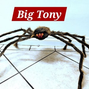 Big Tony Giant Oddbody Oddbrain Poseable Spider image 3