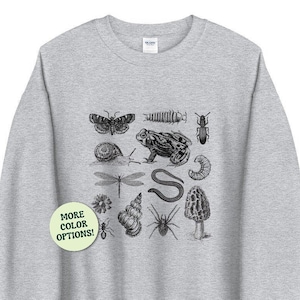 Frosch Pilz Schnecke Motte Insekt Sweatshirt, Vintage Biologie Naturliebhaber, Wissenschaftsbiologie Naturgeschichte, Goblincore Gremlincore Ästhetik