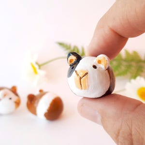Miniatura de hamster porquinho-da-índia, microfigura de argila personalizada, decoração de terrário, estatueta de porquinho-da-índia, enfeite de estimação personalizado, decoração Cottagecore, porquinho-da-índia