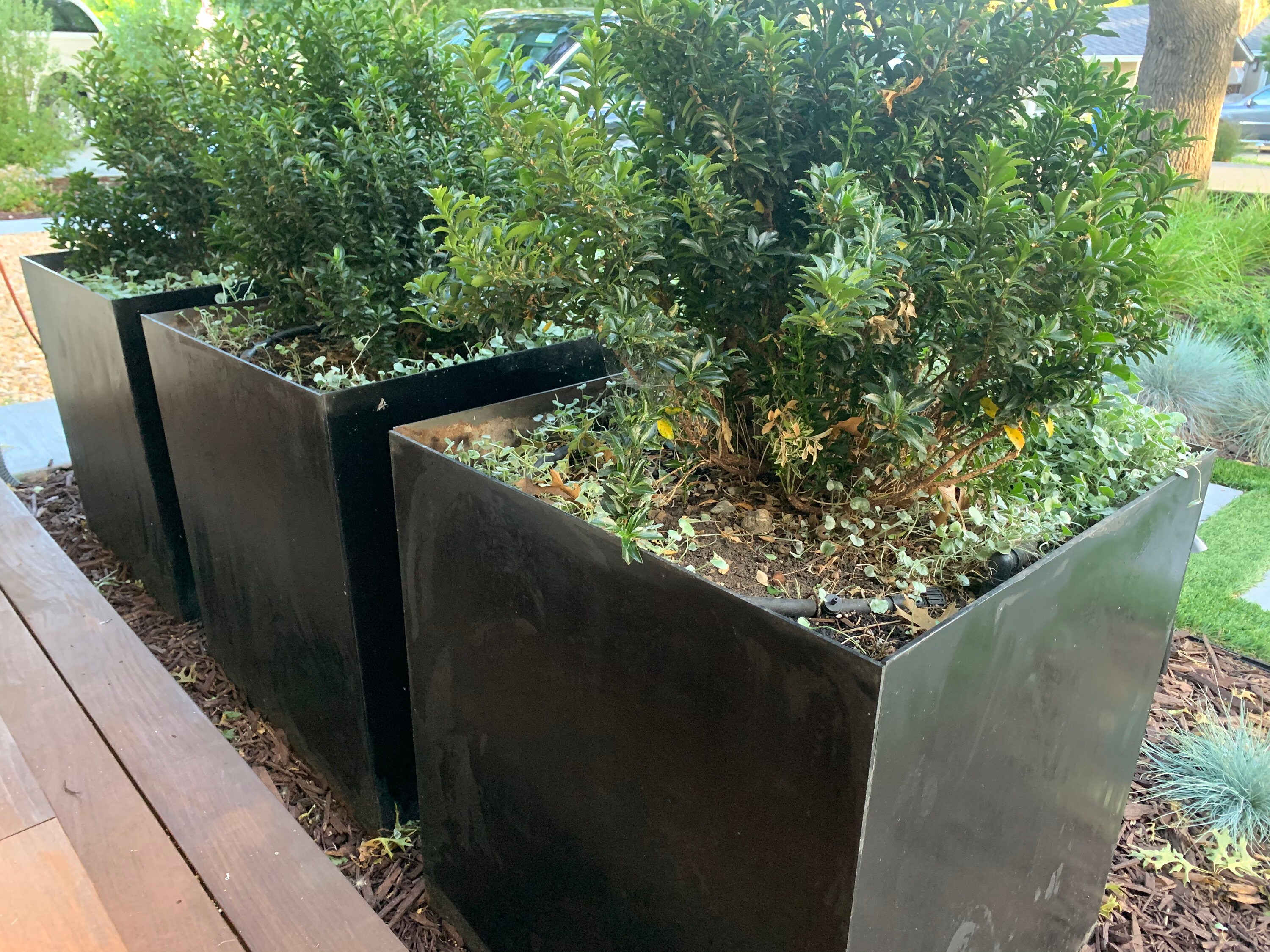 Corten steel planter boxes and inserts Etsy